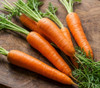 Daucus carota - Kuroda Carrot - Seeds Seeds