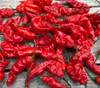 Mantis Claw Pepper Seeds