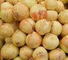 Walla Walla Onion Seeds