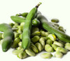 Fava Bean Seeds