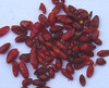 Pequin Chile Seeds