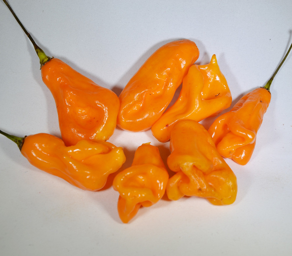 Scotch Orange Pepper Seeds