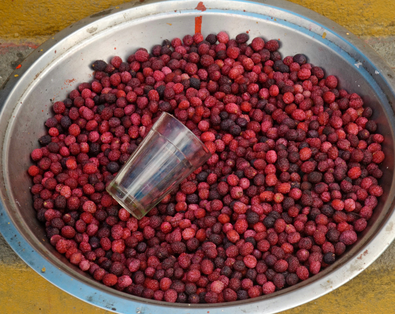 5 Semi Di Bayberry Rossa (Myrica Rubra) - Yumberry - Frutto Esotico Da Piantare - Foto 4