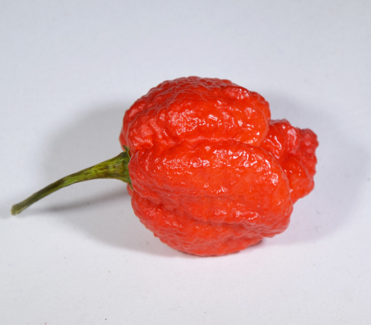 Jigsaw Moruga Pepper Seeds