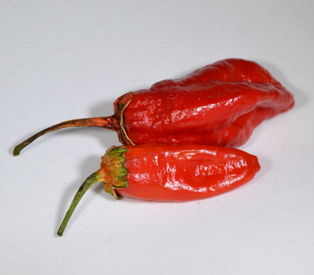 Bubble Gum 7 x Tabasco Pepper Seeds