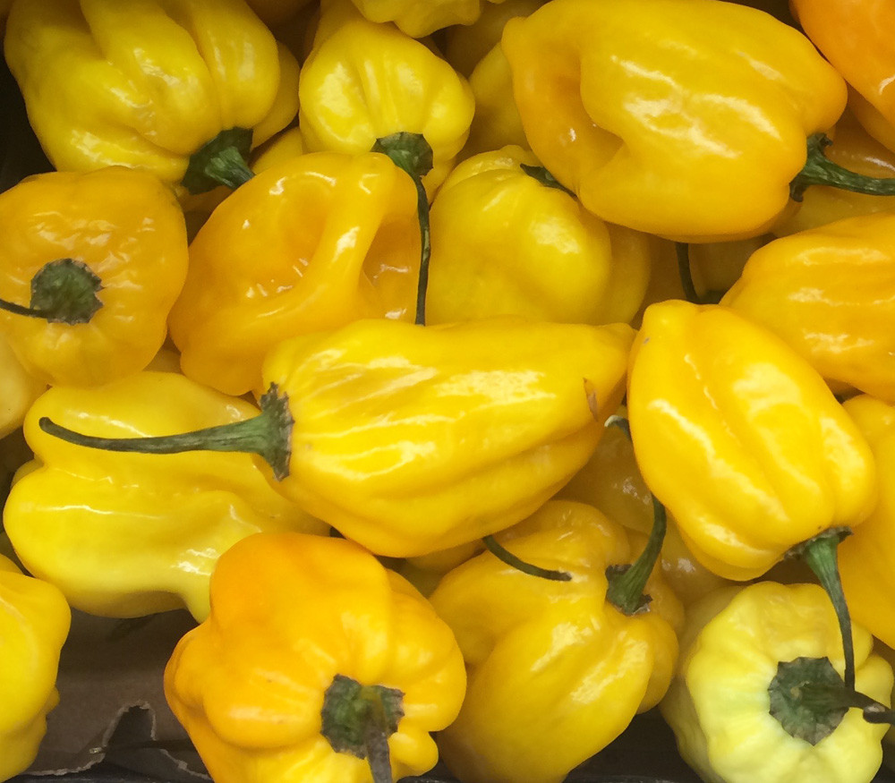 Habanero Pepper, Lemon Seeds