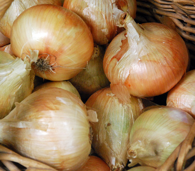 Ailsa Craig Onion Seeds