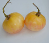 50 White Wonder Beefsteak Tomato Seeds - Giant 1-2 Lb Fruit! Heirloom Vegetable Seeds