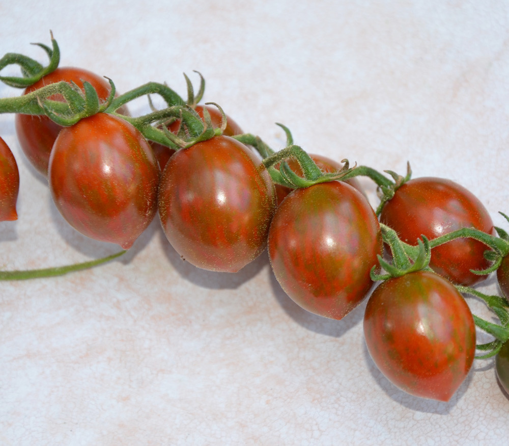 Chocolate Tomato Seeds