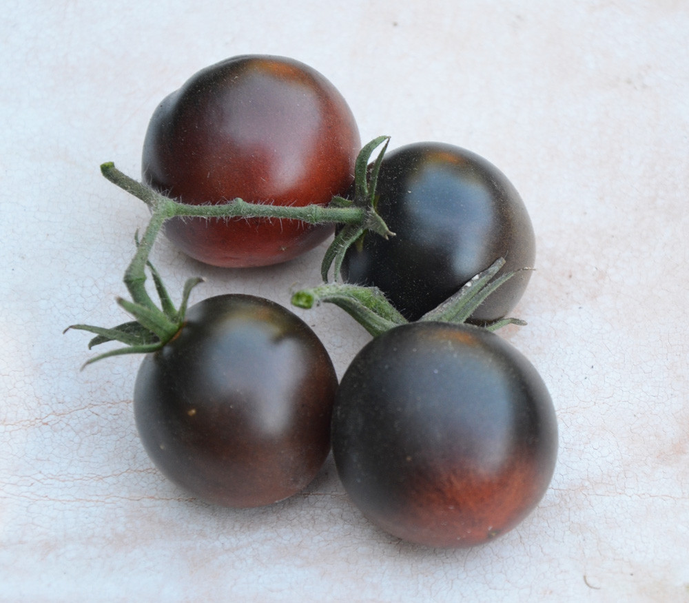Chocolate Tomato Seeds
