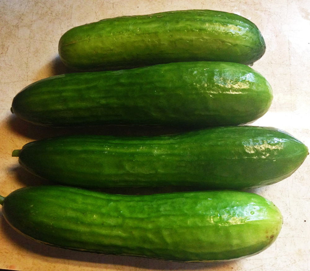 Crystal Apple Cucumber Seeds