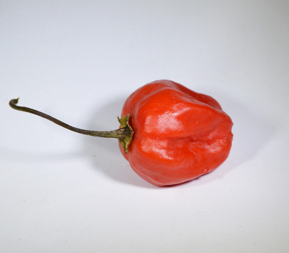 Sugar Rush Creme Pepper Seeds