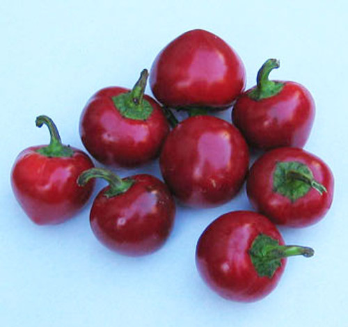 Cherry Pepper Seeds Cherry Pepper Seeds