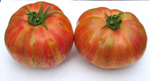 Vintage Wine Tomato Seeds