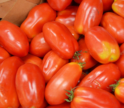 San Marzano Tomato Seeds San Marzano Tomato Seeds