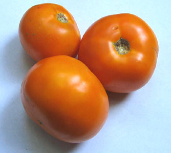 Tangerine Tomato Seeds