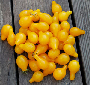 Yellow Pear Tomato Seeds