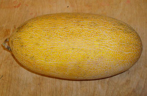 Hami Melon Seeds