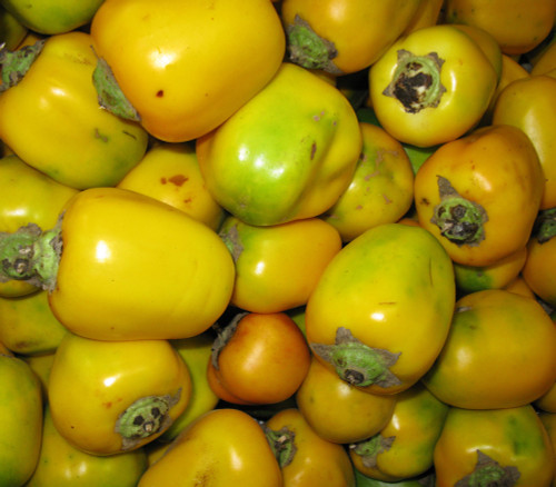 Solanum sessiliflorum - Cocona