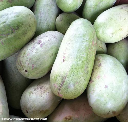 Charleston Gray Watermelon Seeds