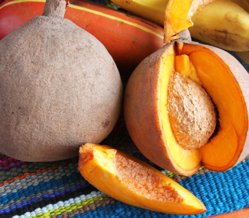 Mammea americana - Mamey Apple Seeds Mammea americana - Mamey Apple Seeds