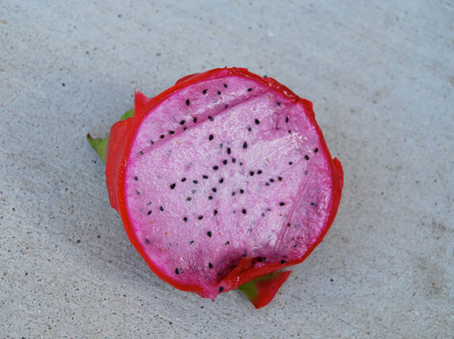 Hylocereus undatus - Pink Dragon Fruit Seeds Hylocereus undatus - Pink Dragon Fruit Seeds