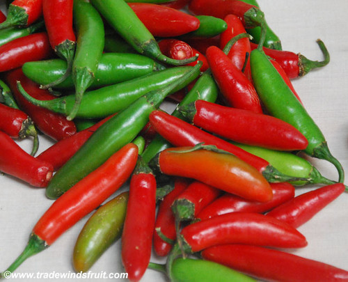 Serrano Tampequino Pepper Seeds