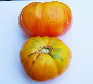 Marvel Stripe Tomato Seeds