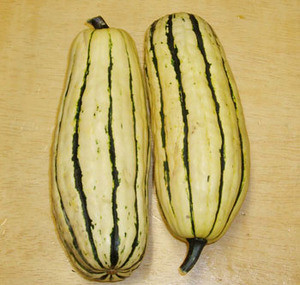 Delicata Squash Seeds