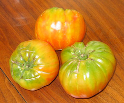 Big Rainbow Tomato Seeds Big Rainbow Tomato Seeds