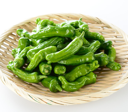 Shishito Pepper Seeds
