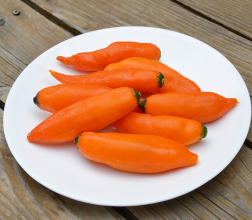 Aji Amarillo Chili Seeds
