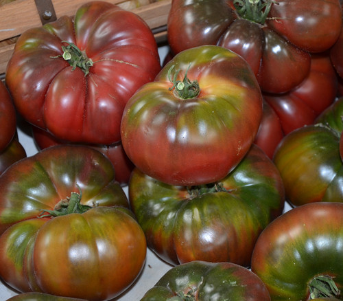 Black Krim Tomato Seeds