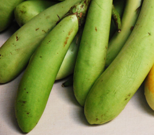 Thai Green Eggplant