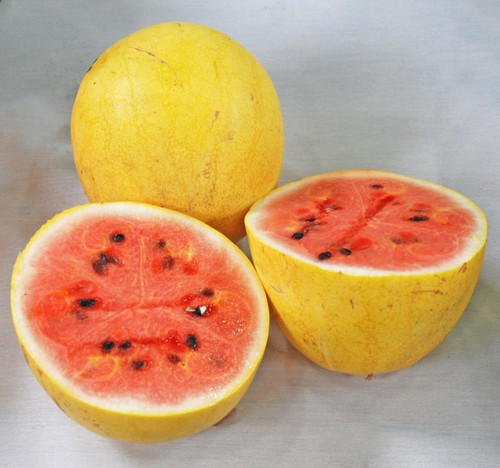 Golden Midget Watermelon Seeds