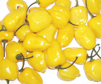 Caribbean Yellow Habanero Seeds