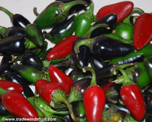 Black Hungarian Pepper Seeds
