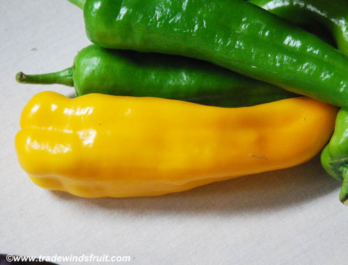 Golden Treasure Pepper Seeds