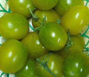 Green Grape Tomato Seeds
