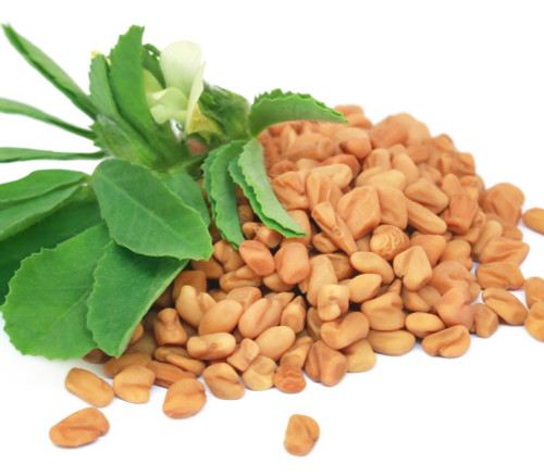 Trigonella foenum-graecum - Fenugreek Seeds