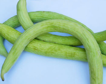Armenian Cucumber Seeds