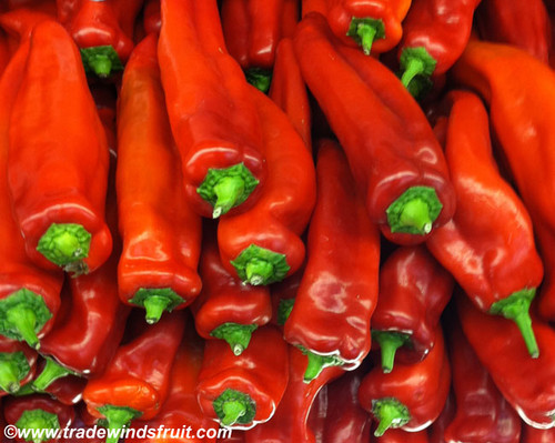 Corno di Toro Pepper Seeds