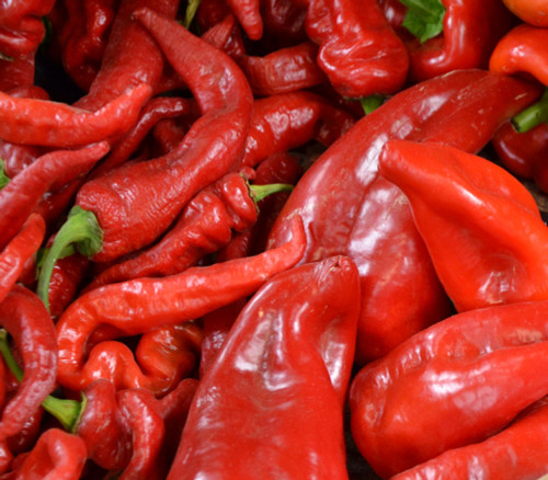 Beaver Dam Pepper Seeds