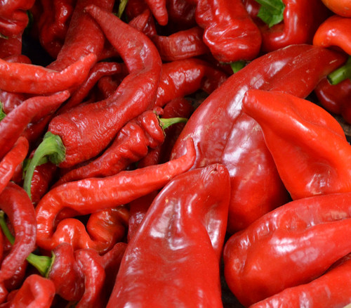 Beaver Dam Pepper Seeds