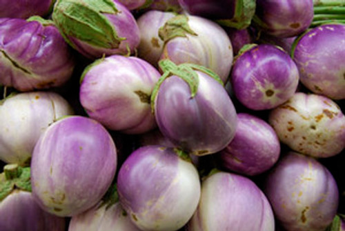Rosa Bianca Eggplant Seeds Rosa Bianca Eggplant Seeds