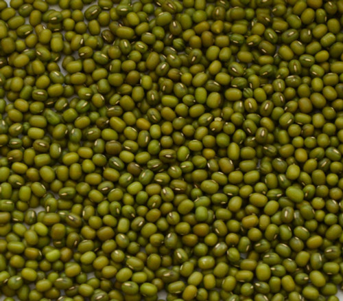 Mung Bean Seeds