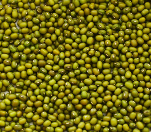 Mung Bean Seeds