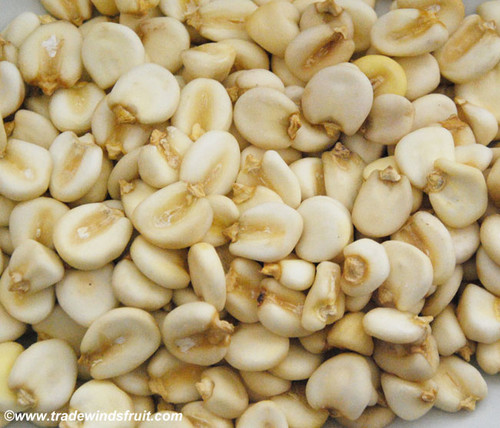 Giant Inca White Corn Seeds