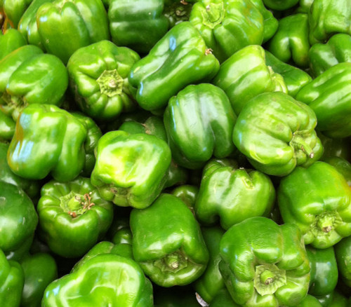 California Wonder Pepper Seeds California Wonder Pepper Seeds
