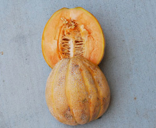 Tuscan Cantaloupe Melon Seeds Tuscan Cantaloupe Melon Seeds